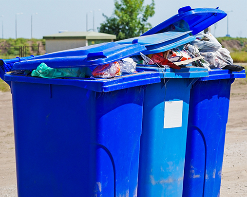 Terroble Garbage Garbage Pickup - Sandlapper Waste | Lowcountry, SC